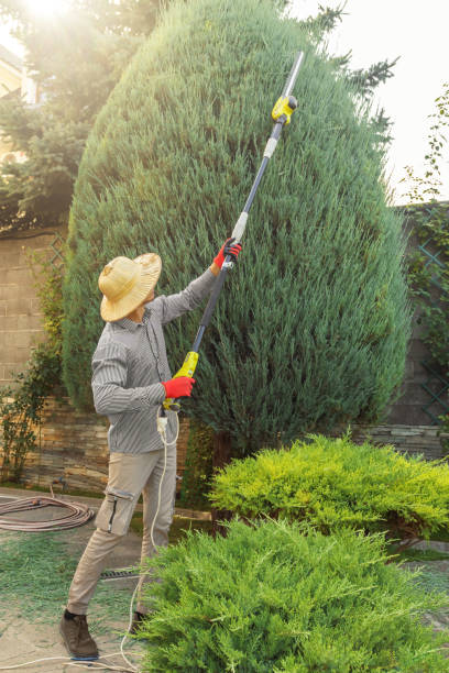 Best Pest Control for Lawns  in Hummelstown, PA